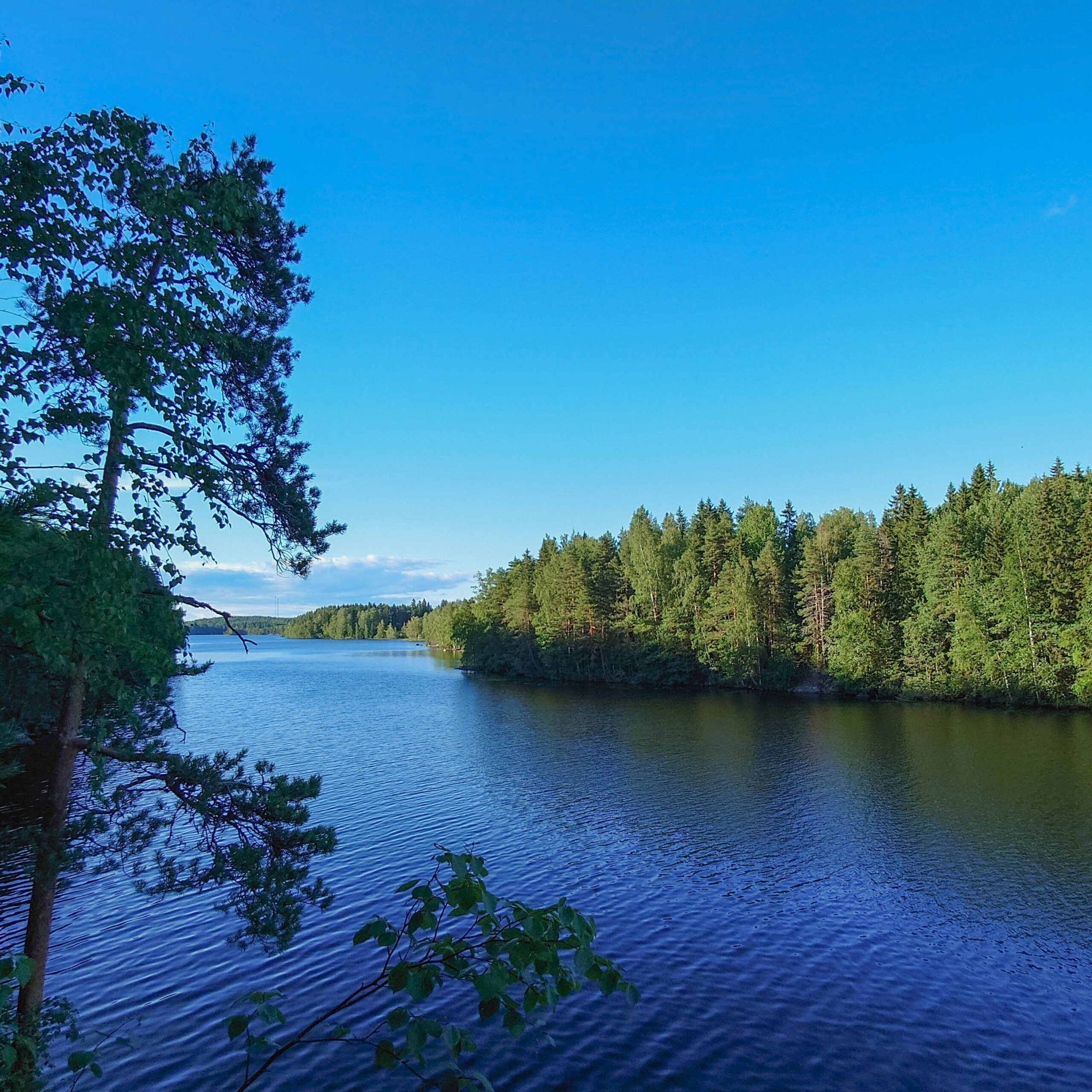 Rajalansaaresta näkymä Kukkiajärvelle