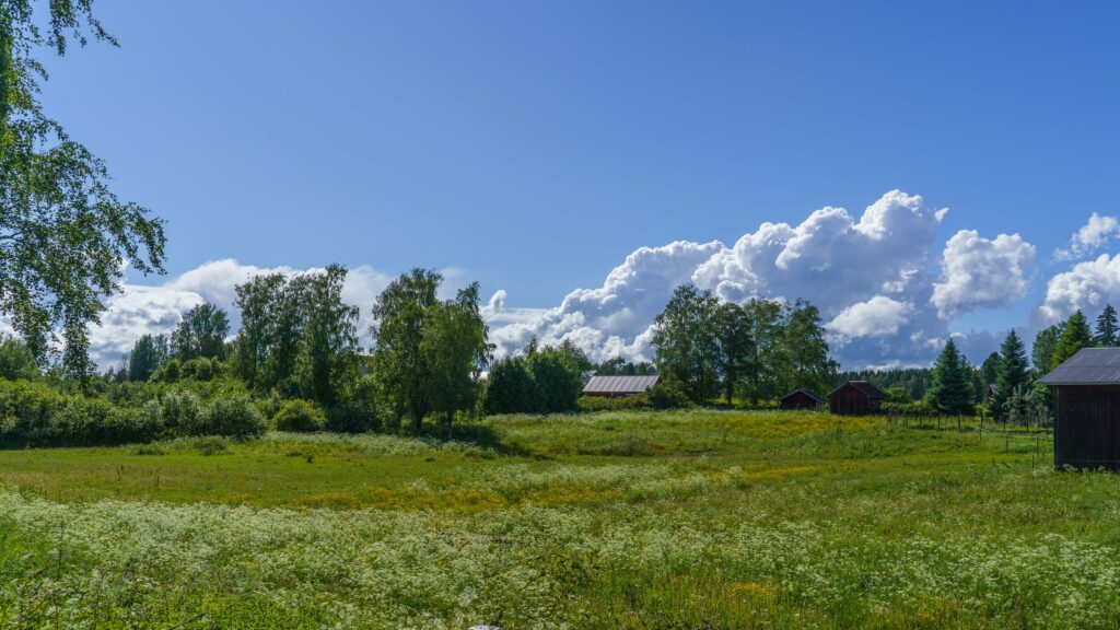 maalaismaisemaa