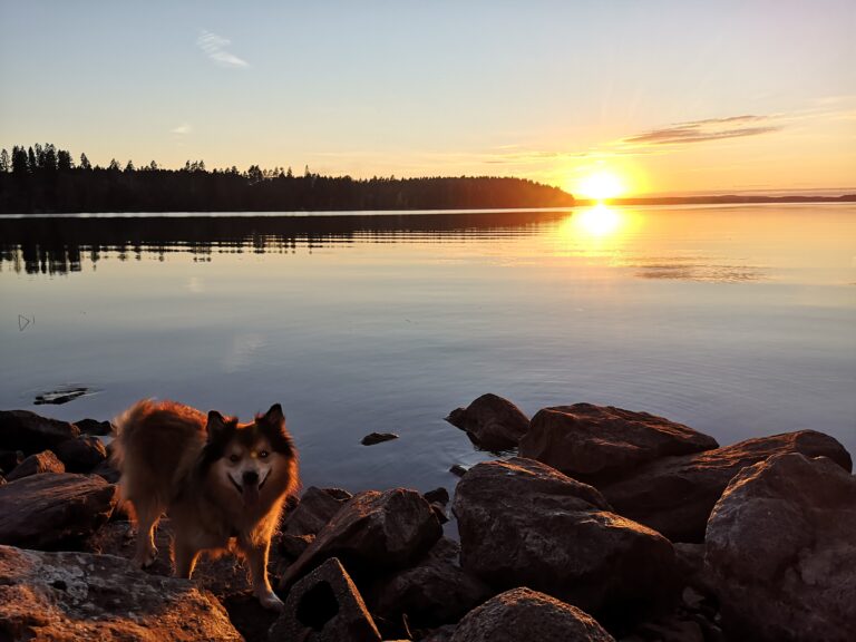 Kukkolan ranta